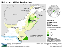 images\PK\cropprod\Pakistan_Millet_preview.png